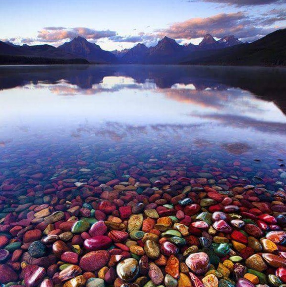 Meet your Posher, Felicia 👑 - Picture 1 of 1